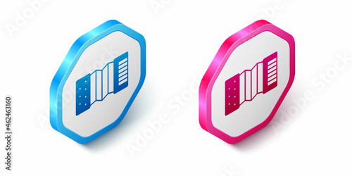 Isometric Musical instrument accordion icon isolated on white background. Classical bayan, harmonic. Hexagon button. Vector