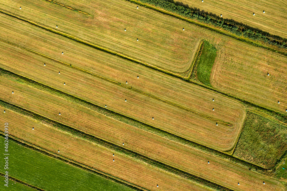 Grass bales on a field on a newly cut agricultural land Grass bales on a field on a newly cut agricultural land