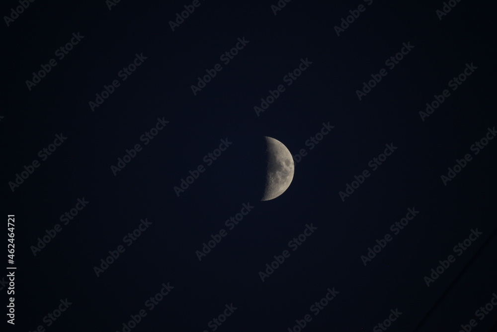 moon in the night moon in the night