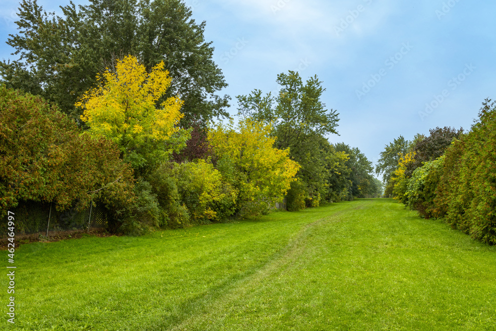Naklejka premium Burlington trail during autumn, Ontario, Canada