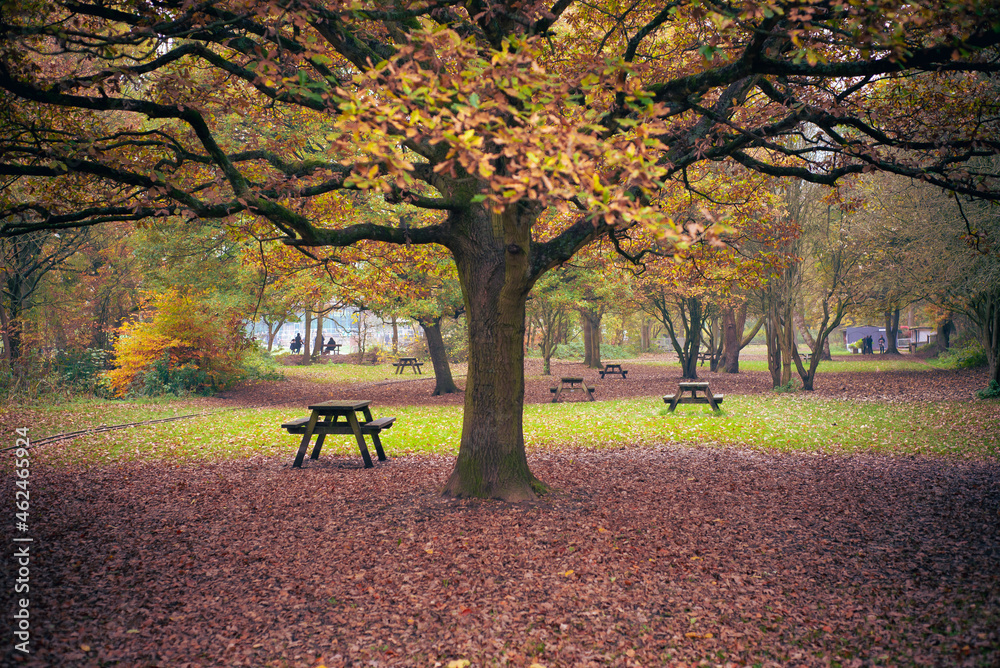Autumn at Shibden Park, Halifax