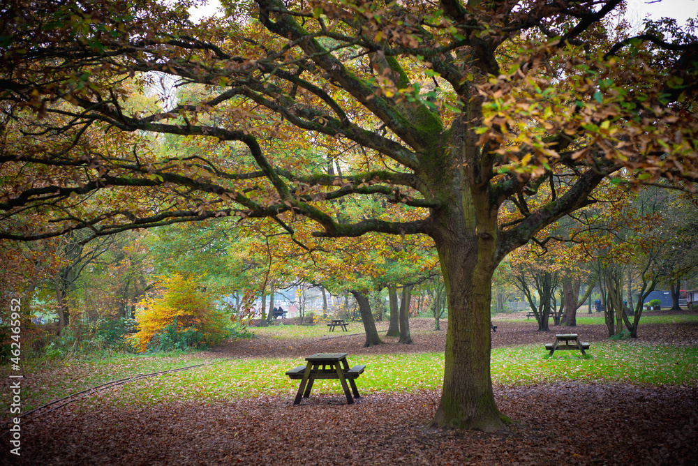 Autumn at Shibden Park, Halifax
