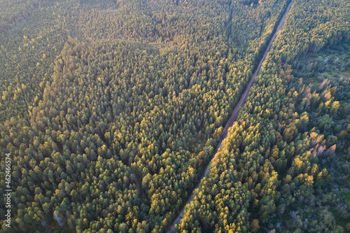 Beautiful autumn landscape with road and forest. Aerial photography using a drone
