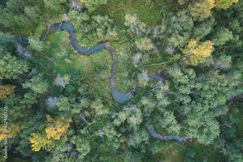Beautiful autumn landscape with river and forest. Aerial photography using a drone