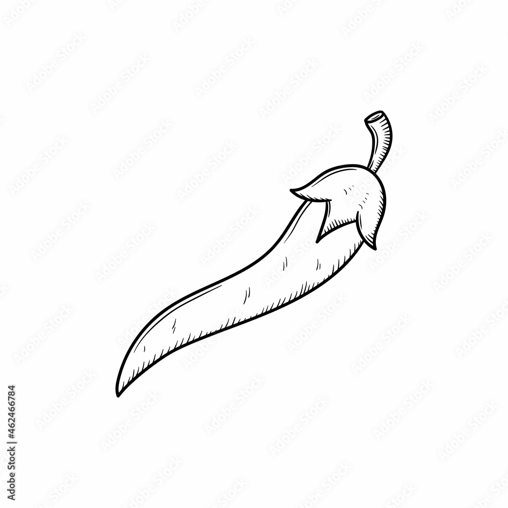 chili pepper illustration hand drawn isolated design chili pepper illustration hand drawn isolated design