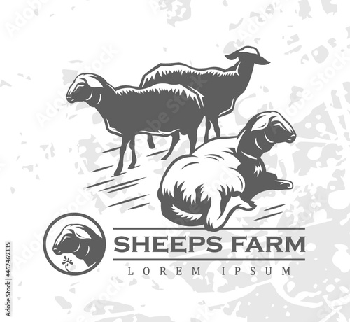 Sheeps farm sign. Premium logo