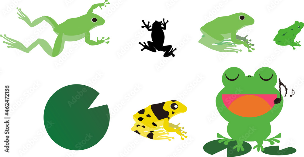 Fototapeta premium 蛙セットシンプル・蓮の葉・デフォルメ