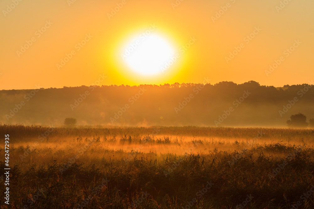 Fototapeta premium Beautiful sunrise over a foggy meadow
