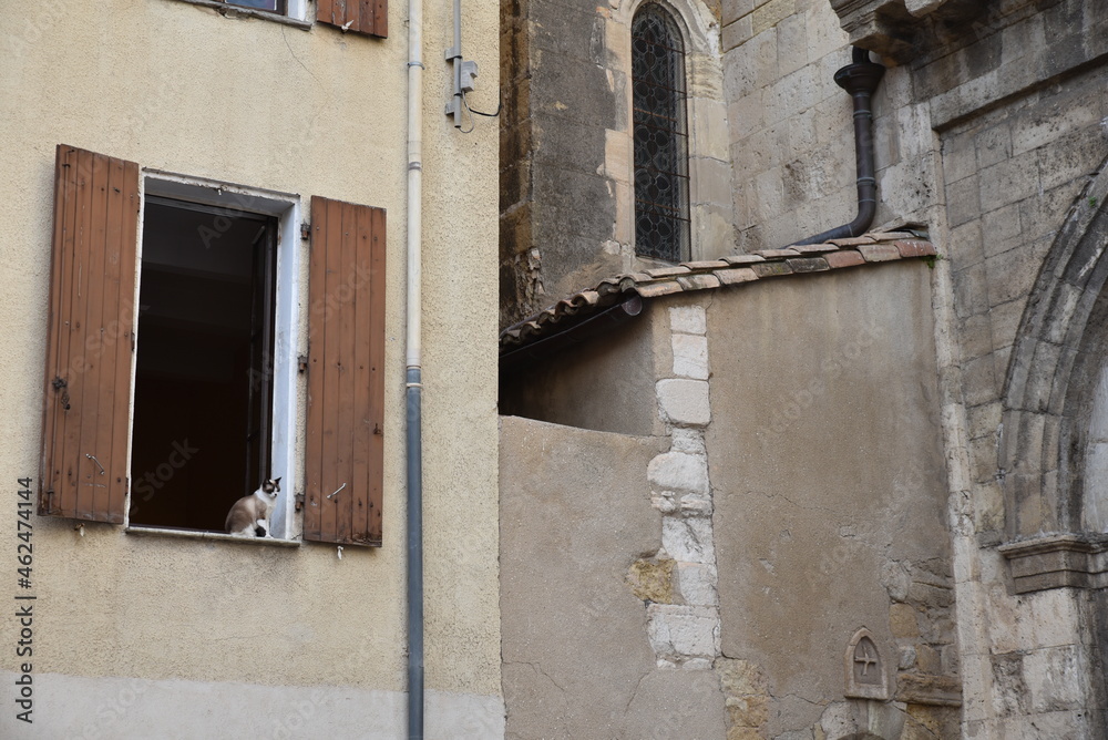 Fototapeta premium Chat à la fenêtre