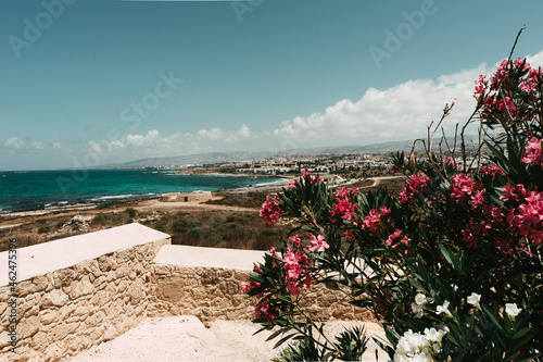 Amazing view of the Cyprus coast with plant frame. The city in the background, the azure ocean, a beautiful beach. A warm, sunny summer day. Pink flowers.