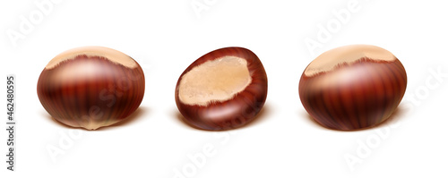  vector icon. Chestnut set in different shapes. Isolated on white background.