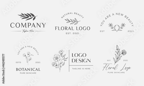 Botanical Floral element Hand Drawn Logo with Wild Flower and Leaves. Logo for spa and beauty salon, boutique, organic shop, wedding, floral designer, interior, photography, cosmetic.