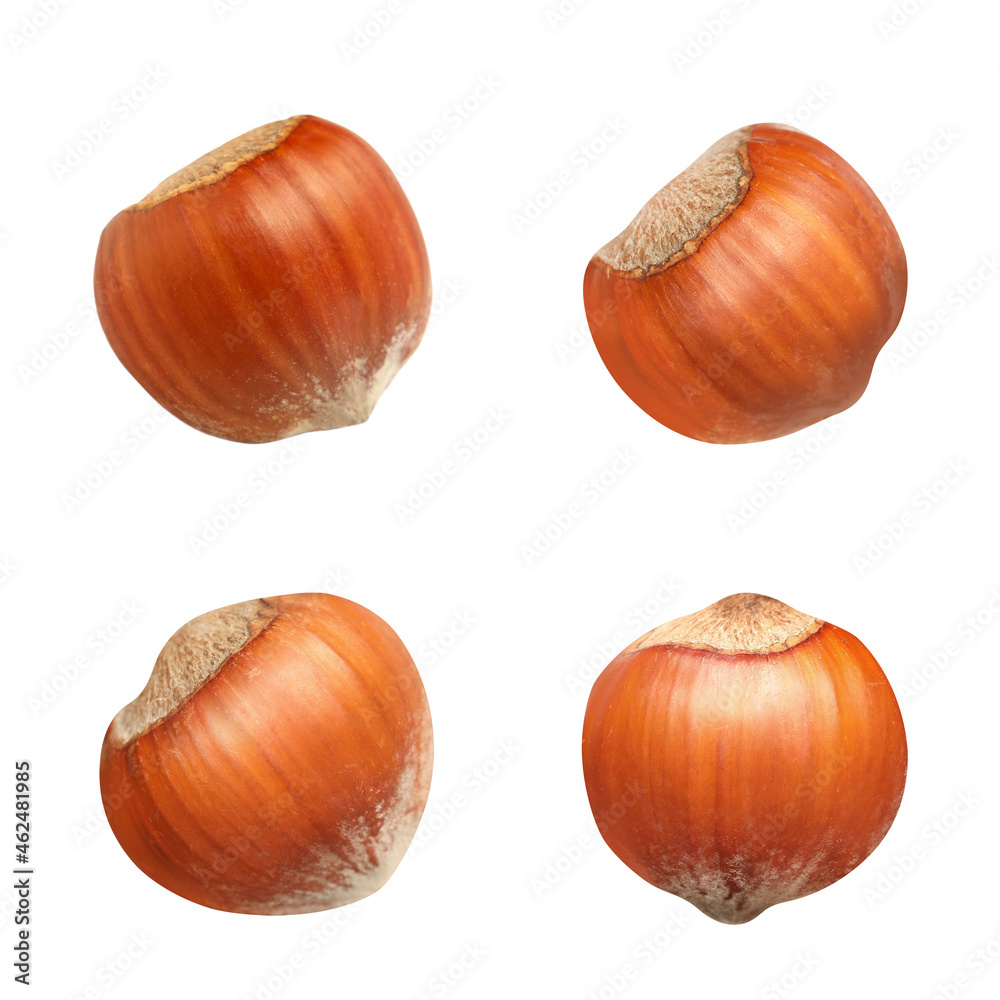 Set with tasty hazelnuts on white background Set with tasty hazelnuts on white background