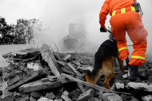 Searching through a destroyed building with the help of rescue dogs Fotobehang