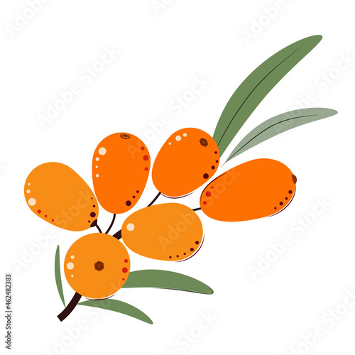 Sea-buckthorn. Ripe juicy Berries with Green Leaves. Sea Buckthorn for jam and dessert. Flat style. Vector Illustration.