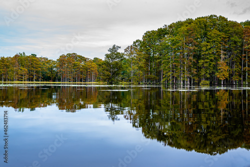 Autumn Trees In Virginia with Reflections 