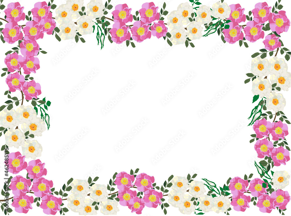 pink and white small rose frame