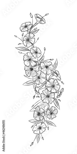 Flower graphics illustration sketch tattoo print black and white sketch
