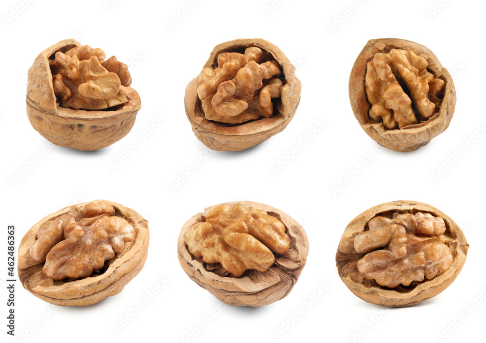 Set with tasty walnuts on white background Set with tasty walnuts on white background