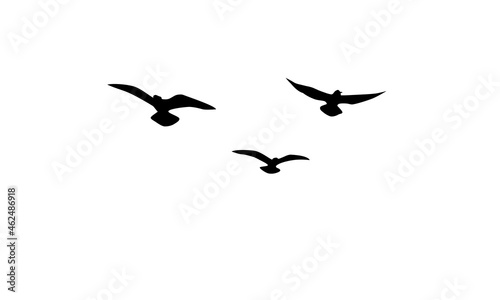 Flying birds silhouettes, background design. Vector illustration isolated on white background. © Taty ZT