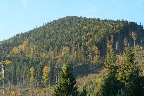 Mountains covered with forest on an autumn day