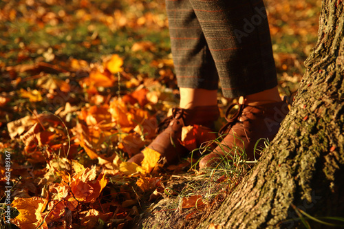 Female legs in capri pants and brogues shoes on dry autumn bright leaves background. Bright stylish woman in orange coat walking in october park. Tree trunk on foreground