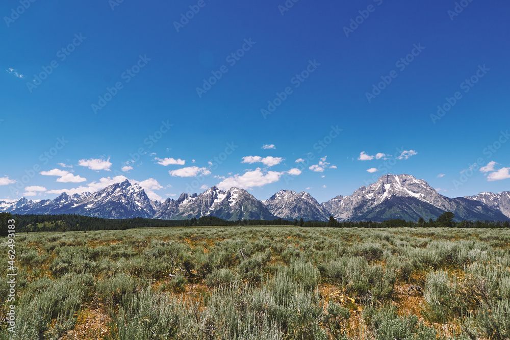Grand Teton Mountains landscape