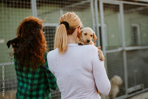 Photography Two young adult women adopting beautiful dogs at animal shelter.