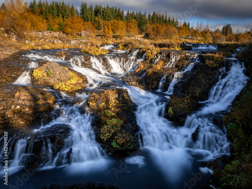 Kermoafoss waterfall surrounded by the forest in Reykjavik, Iceland. Warm, golden autumnal colours. Long exposure photo. 