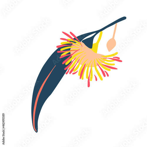 Modern isolated stylized design with abstract colorful eucalyptus flowers