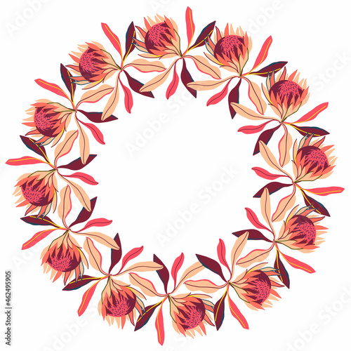 Vector isolated design botanical cute garland floral vignette of protea flowers