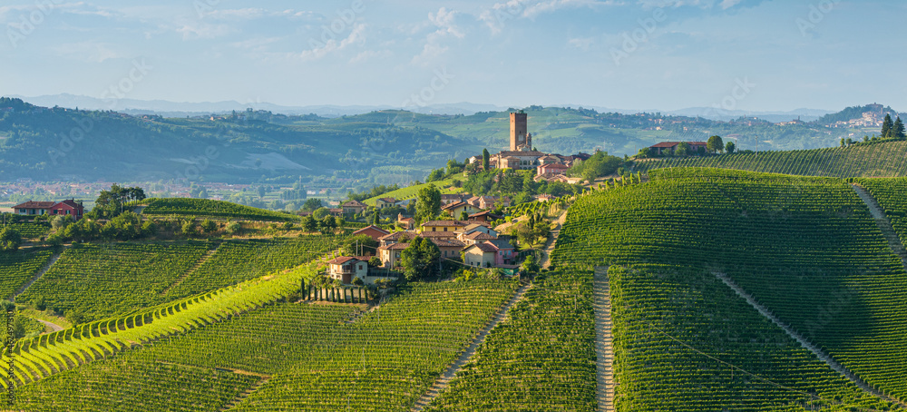 Beautiful hills and vineyards surrounding Barbaresco village in the Langhe region. Cuneo, Piedmont, Italy. - obrazy, fototapety, plakaty 