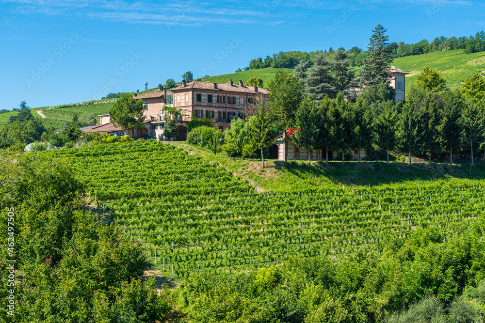 Scenic sight of vineyards near Barolo in the Langhe region of Piedmont, Italy.