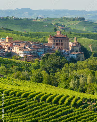 The beautiful village of Barolo and its vineyards on a summer afternoon  in the Langhe region of Piedmont  Italy.