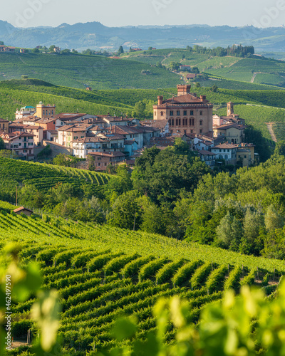 The beautiful village of Barolo and its vineyards on a summer afternoon, in the Langhe region of Piedmont, Italy.