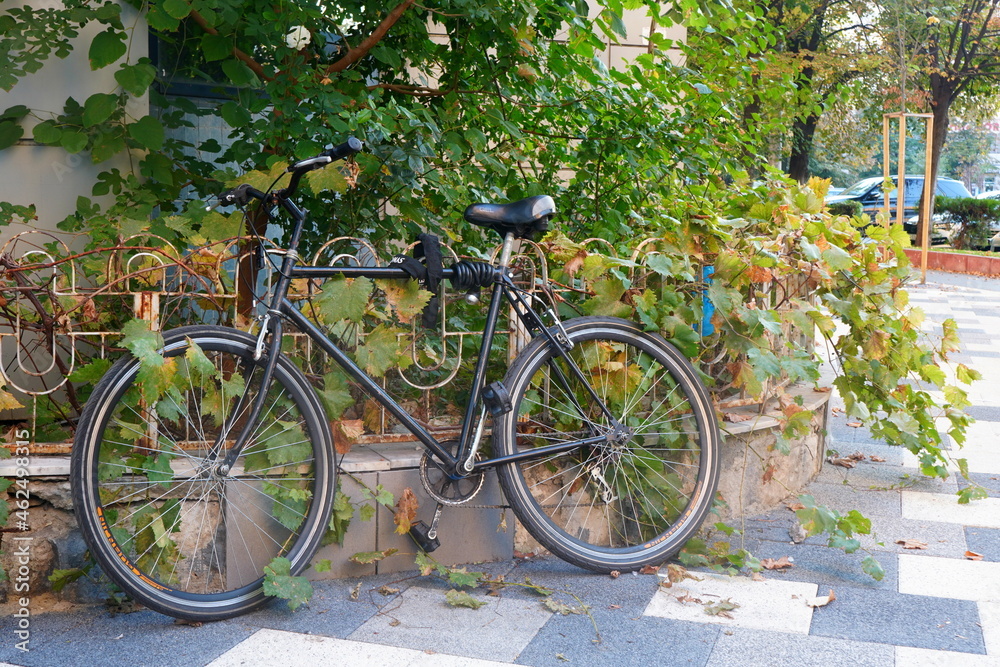 Men's black  bicycle parked outdoor near building, fastened to low fence, on paved alley in the city in autumn