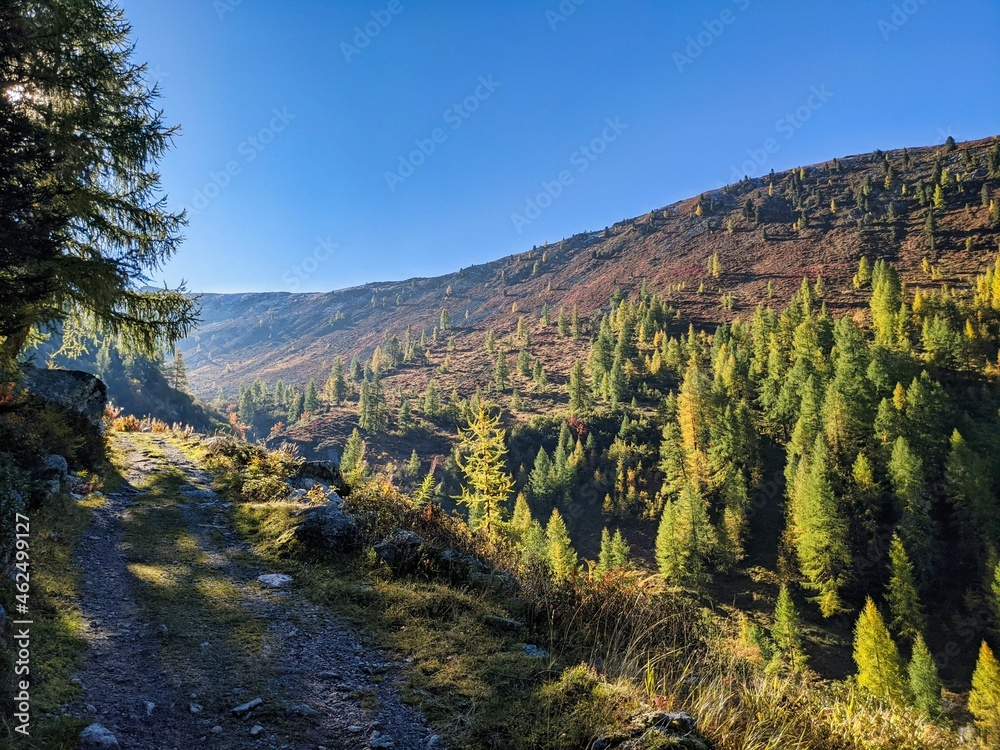 beautiful mountain landscape in autumn. the larch forest is beginning to bloom near Davos. Great hiking landscape