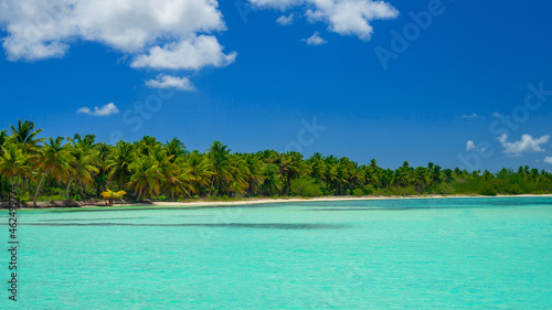 sunny beach with white sand azure sea and green palm trees on the Caribbean islands © Dorian8