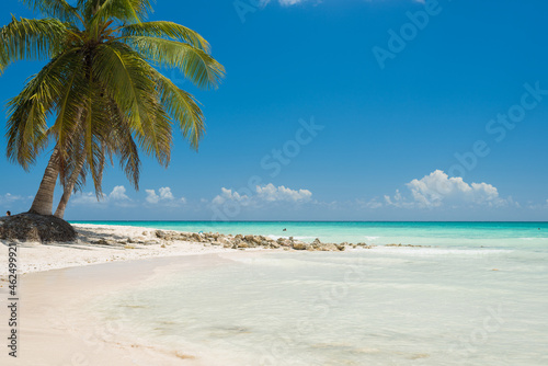 sunny beach with white sand azure sea and green palm trees on the Caribbean islands