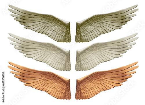 Metallized wings isolated. Set