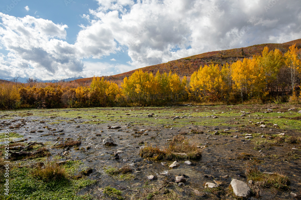fresh water springs and fall colors with blue sky fresh water springs and fall colors with blue sky
