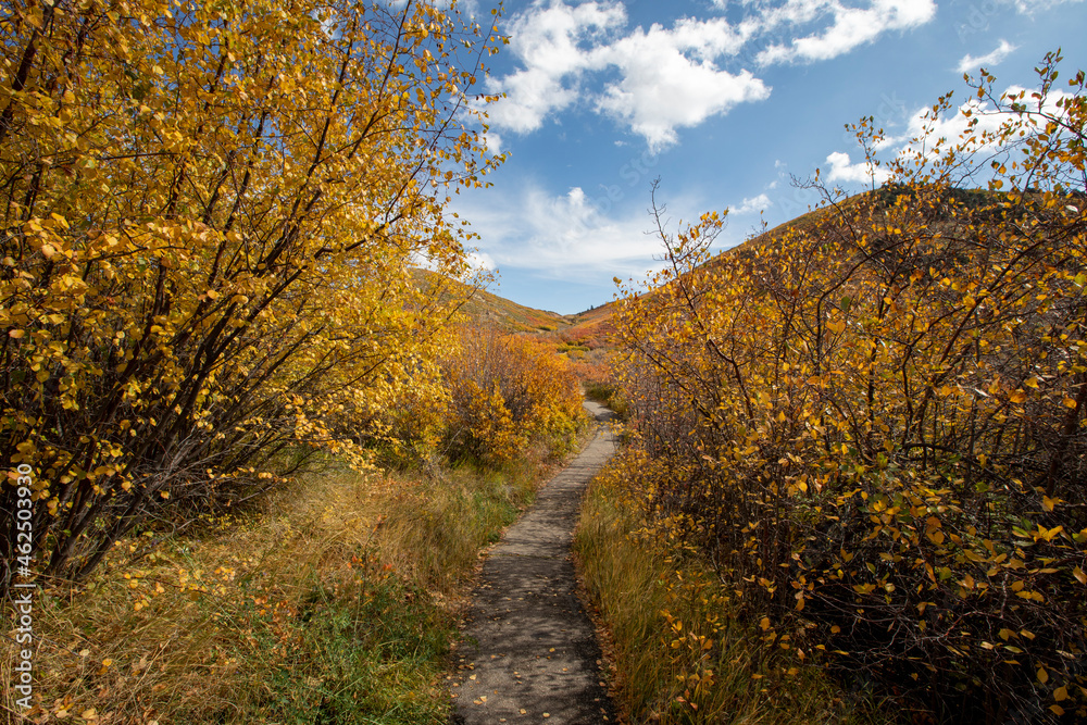 Fall colors in the mountains with blue sky Fall colors in the mountains with blue sky