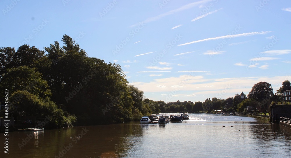 Fototapeta premium Bright Blue Skys