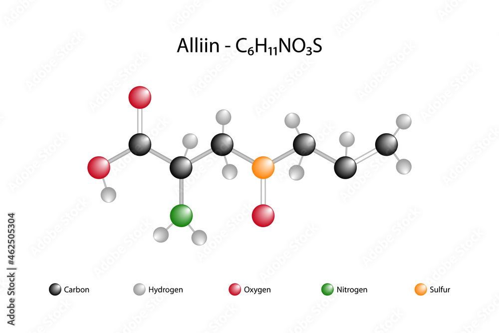 Molecular formula of alliin. Alliin is a sulfoxide that is a natural constituent of fresh garlic.