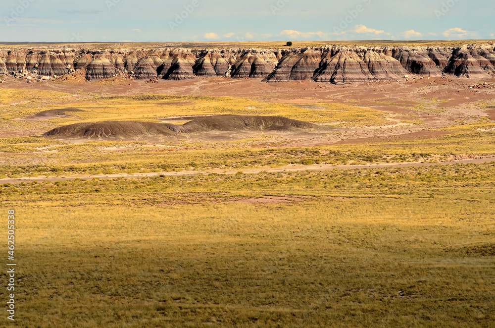 Obraz premium Petrified Forest Arizona