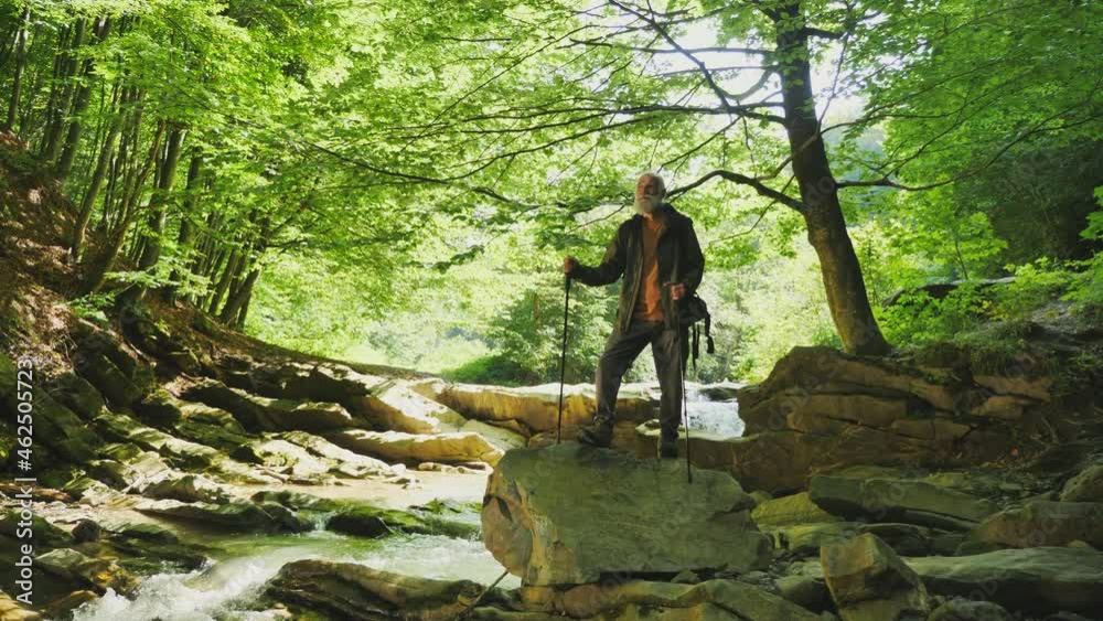 Senior Male Hiker with Backpack and Nordic Walking Poles Standing on a Large Rock Near a Waterfall in the Forest Enjoying Nature Therapy. Active Retirement, Tourism and Hobby Concept. Senior Male Hiker with Backpack and Nordic Walking Poles Standing on a Large Rock Near a Waterfall in the Forest Enjoying Nature Therapy. Active Retirement, Tourism and Hobby Concept.