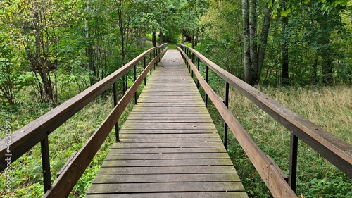 Wooden bridges over small streams for walking along forest paths