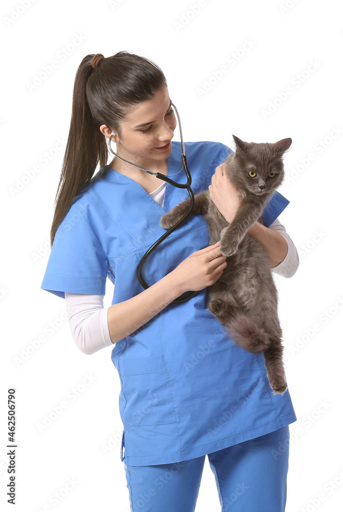 Female veterinarian examining cute cat with stethoscope on white background Female veterinarian examining cute cat with stethoscope on white background