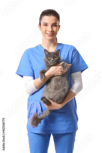 Female veterinarian holding...