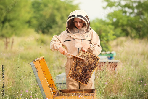 Female beekeeper working at apiary photo